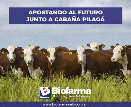 Sponsor - Biofarma