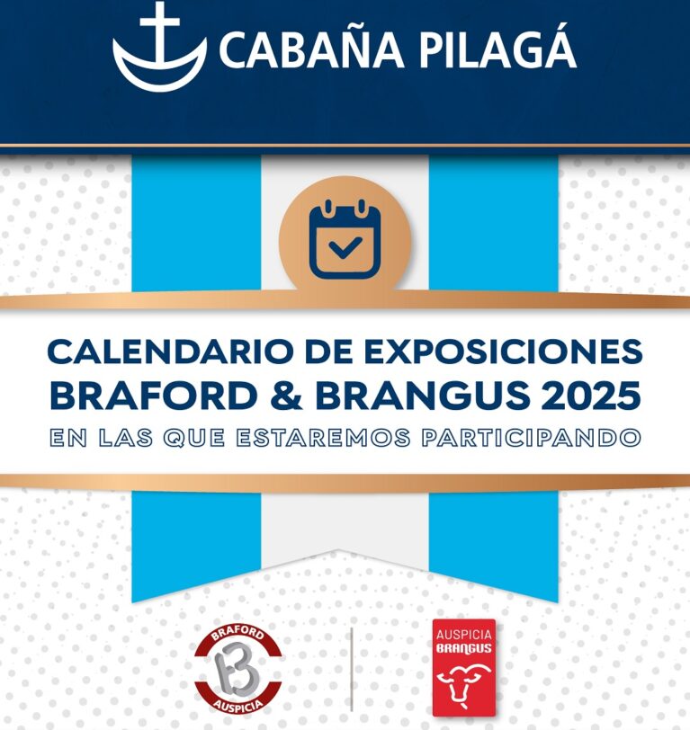 Calendario de Exposiciones 2025