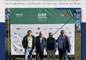 Gira mundial Braford Brasil 2025