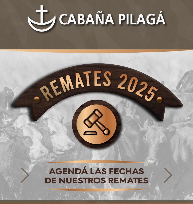 Remates Cabaña Pilagá 2025