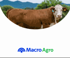 MacroAgro_Pilaga.gif